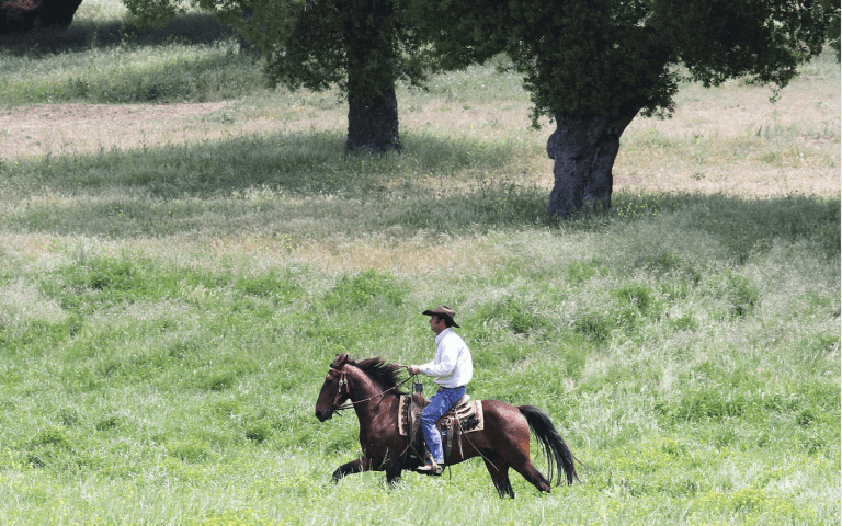 Funds Tight Again – Close Down Newhall Ranch
